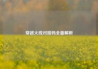 穿越火线对接码全面解析