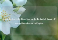 James Harden: A Brilliant Star on the Basketball Court - Personal Introduction in English