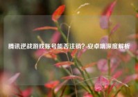 腾讯逆战游戏账号能否注销？安卓端深度解析