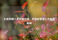 王者荣耀三老荣耀历程、传奇故事及三杰身份揭秘
