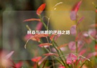 林焱与林鹏的逆战之路