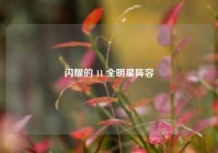 闪耀的 11 全明星阵容