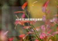 2020年欧洲杯规则全解析
