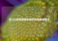在CSGO战场想着亲爱的你及原唱相关