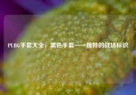 PUBG手套大全，黑色手套——独特的战场标识