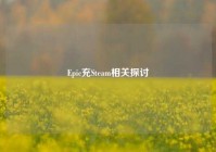 Epic充Steam相关探讨