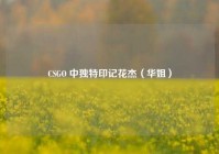CSGO 中独特印记花杰（华姐）