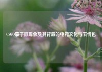CSGO茄子腋现象及其背后的电竞文化与表情包