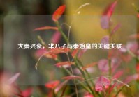 大秦兴衰，芈八子与秦始皇的关键关联