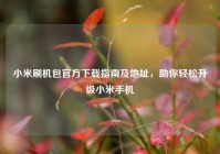 小米刷机包官方下载指南及地址，助你轻松升级小米手机