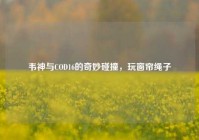 韦神与COD16的奇妙碰撞，玩窗帘绳子