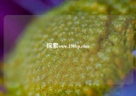 探索www.190bp.com