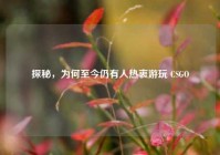 探秘，为何至今仍有人热衷游玩 CSGO