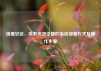 镜像安装，探索高效便捷的系统部署方式及操作步骤