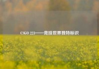 CSGO 223——竞技世界独特标识