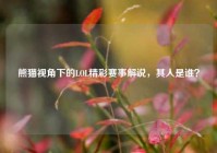 熊猫视角下的LOL精彩赛事解说，其人是谁？