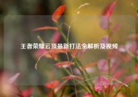 王者荣耀云顶最新打法全解析及视频
