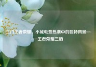 三门王者荣耀，小城电竞热潮中的独特风景——王者荣耀三酒