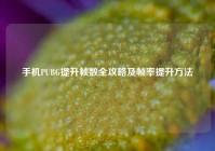 手机PUBG提升帧数全攻略及帧率提升方法