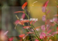 对egui.exe的探讨