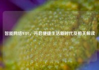 智能网络WIFI，开启便捷生活新时代及相关解读