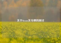 关于Steam关令牌的探讨