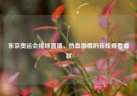 东京奥运会排球直播，热血激情的在线观看盛宴