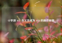 CF手游 ACE 含义及成为 ACE 的操作秘籍