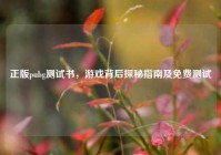 正版pubg测试书，游戏背后探秘指南及免费测试