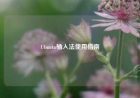 Ubuntu输入法使用指南
