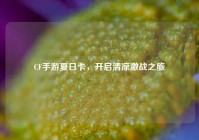 CF手游夏日卡，开启清凉激战之旅