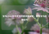 宝马CF3101信号无效问题深度解析，聚焦宝马故障信号