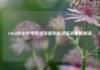 CSGO完全护甲穿透深度剖析及实战策略解读