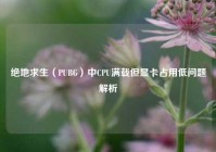 绝地求生（PUBG）中CPU满载但显卡占用低问题解析