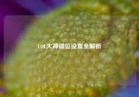 LOL大神键位设置全解析
