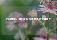 CSGO帧率，追求极致游戏体验的关键所在