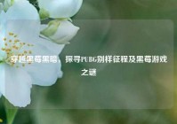 穿越黑莓黑暗，探寻PUBG别样征程及黑莓游戏之谜