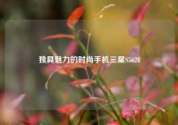 独具魅力的时尚手机三星S5628