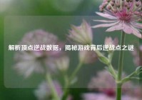 解析顶点逆战数据，揭秘游戏背后逆战点之谜