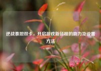 逆战泰坦双卡，开启游戏新征程的助力及设置方法