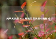 关于黑洞原 steam 辅助及黑洞脚本的探讨
