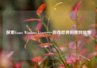 探索Game Windows Live——游戏世界的独特纽带