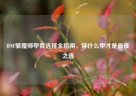 DNF驱魔师甲胄选择全指南，穿什么甲才是最佳之选