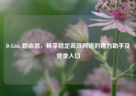 D-Link 路由器，畅享稳定高效网络的得力助手及登录入口