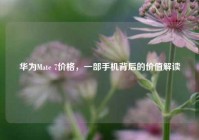 华为Mate 7价格，一部手机背后的价值解读