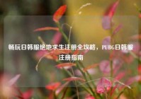 畅玩日韩服绝地求生注册全攻略，PUBG日韩服注册指南