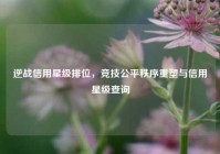 逆战信用星级排位，竞技公平秩序重塑与信用星级查询