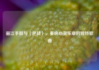 丽江手鼓与〈逆战〉，奏响心灵乐章的独特歌曲