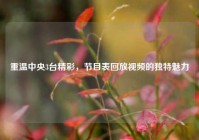 重温中央3台精彩，节目表回放视频的独特魅力