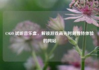 CSGO 试听音乐盒，解锁游戏高光时刻独特体验的网站